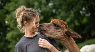 Neuer Therapiehof in Enger: So sollen Alpakas und Pferde bei Angst und Depressionen helfen