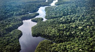 Der Amazonas als Kulisse - Was bringt die Klimakonferenz?