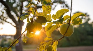 Erst sommerlich, dann wechselhaft - ab Mittwoch Unwetter