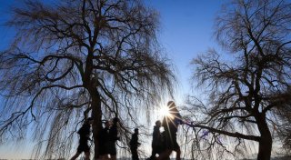 Sonniges Frühlingswetter - Temperaturen bis 20 Grad