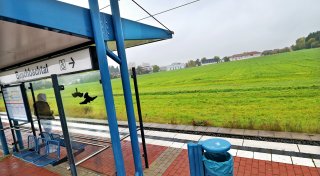 Neue Baugebiete am Bielefelder Stadtrand - Umweltexperte Martin Enderle warnt