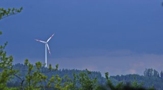 „Katastrophe für OWL“: Naturschützer kritisieren unkontrollierten Windkraft-Ausbau