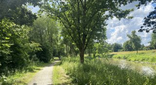 Günstiger oder ökologischer? Entscheidung bei Werreauenpark-Sanierung in Löhne drängt