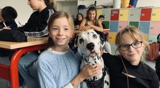 Unterricht völlig verwandelt: Bielefelder Lehrerin bringt Hund mit ins Klassenzimmer