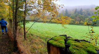 Neues Buch empfiehlt auch eine Wandertour durch Bielefeld - „nw.de“ ist sie gelaufen
