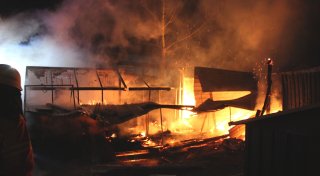 Rund 40 Vögel sterben „qualvoll“ in Minden: Brandserie treibt Bewohner zur Verzweiflung