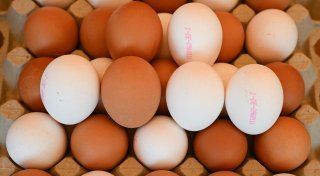 USA bitten Länder in Europa um Eier
