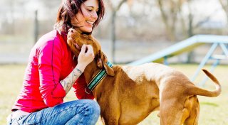 Für Familien, Sportler oder Ältere: Welcher Hund passt?