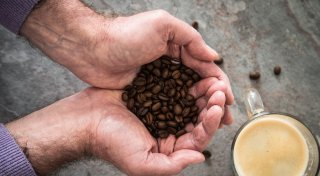 Mit Bohnen-Trick Glücksmomente im Alltag sammeln