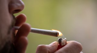 Cannabis-Schwarzmarkt bisher kaum verdrängt