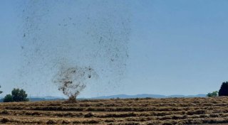 Video zeigt „Stroh-Tornado“ in Herford: Das steckt hinter dem Wetter-Mysterium
