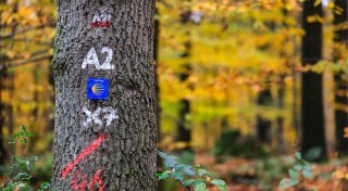 Bürgerentscheid im Kreis Kleve: Letzte Chance für zweiten Nationalpark in NRW