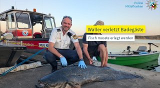 Fünf Badegäste gebissen: Polizist erschießt Zwei-Meter-Fisch