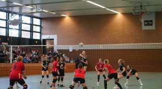 Volleyballfest in Herford: TG Herford veranstaltet Kreispokal-Endrunde