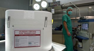 FDP für Organspenden nach dem Herztod: Das steckt hinter dem Vorstoß