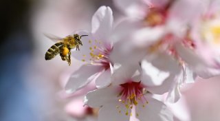 Wechselhaftes Wochenende und Wettermix zum Wochenstart
