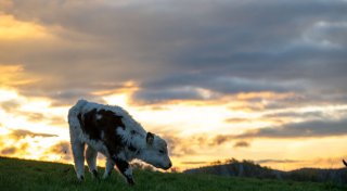 Mildes Herbstwetter mit Sonne, Wolken und Regen
