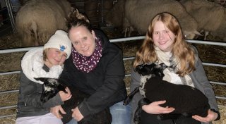 „Schafekuscheln“ ist in Rödinghausen der Renner zum Runterkommen