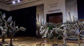 Dinosaurier-Skelette für Millionen Pfund versteigert