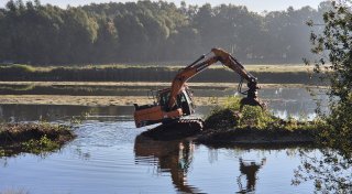 Bagger im Naturschutzgebiet: Was passiert im Steinhorster Becken im Kreis Paderborn?