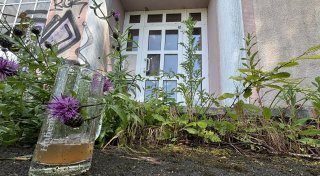 Leere Wirtshäuser, neue Ideen: So könnten Traditionsgaststätten in Enger und Spenge genutzt werden