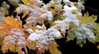 Ein erster Hauch von Winter