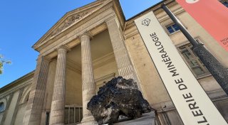 Golddiebstahl in Pariser Museum: Junge Frau festgenommen