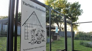 Tierheim Eichenhof sucht ein neues Zuhause in Löhne