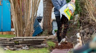 Der Mulch macht's: Was das ist und was er bringt