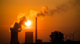 Drastischer CO2-Anstieg in der Atmosphäre - Natur im Stress