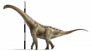 Neuer Langhals-Dinosaurier in Spanien entdeckt