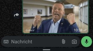 NRW-Landtagsabgeordneter aus dem Kreis Höxter gibt GIFs den Daumen hoch