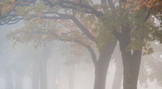 Mix aus Nebel, Sonne, Regen - keine Wetteränderung in Sicht
