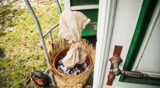 Pflanzen bei Kälteeinbruch zurück ins Warme holen