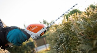 Was Sie im Garten jetzt noch zurückschneiden sollten