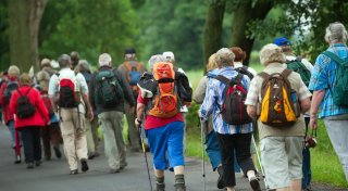 Körperliche Aktivität kann Alzheimer-Ausprägung verlangsamen