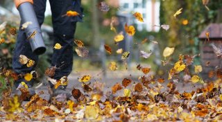 Abstimmung: Zürich erlaubt Laubbläser nur noch im Herbst