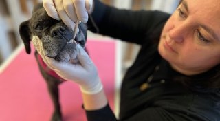 Diese Gütersloherin bietet einen einmaligen Service für Hunde in der Stadt an