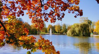 Mit vielen Fotos: So golden ist der Herbst im Bünder Land