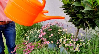 Sorge in Bielefeld: Trockenheit schürt Angst vor Wasserknappheit und Waldbränden