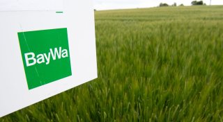 Baywa vereinbart Rettungplan - erste große Schritte