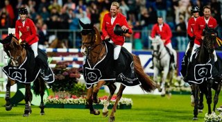 Krisengeschüttelter Reitverband steht vor nächster Blamage