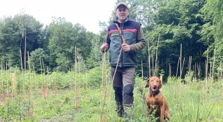 Wetterstress für die Bäume: Förster in Rödinghausen erklärt, was der Wald braucht