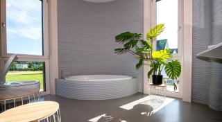 Mögen es feucht: Diese Pflanzen passen ins Badezimmer