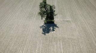 Wetterdienst misst extreme Trockenheit im Frühjahr