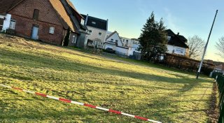 Kita-Baustart mit Strafzahlung? Geschützter Baum in Hövelhof einfach gefällt