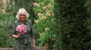 Chelsea Flower Show: Im Namen der Rose