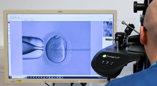 Künstliche Befruchtung: Was bringt all das Zusatzangebot?
