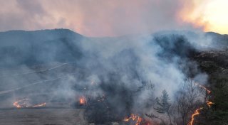 Vier Tote und sechs Verletzte bei Waldbränden in Südkorea