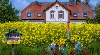 Immer mehr Ferienwohnungen werden online gebucht